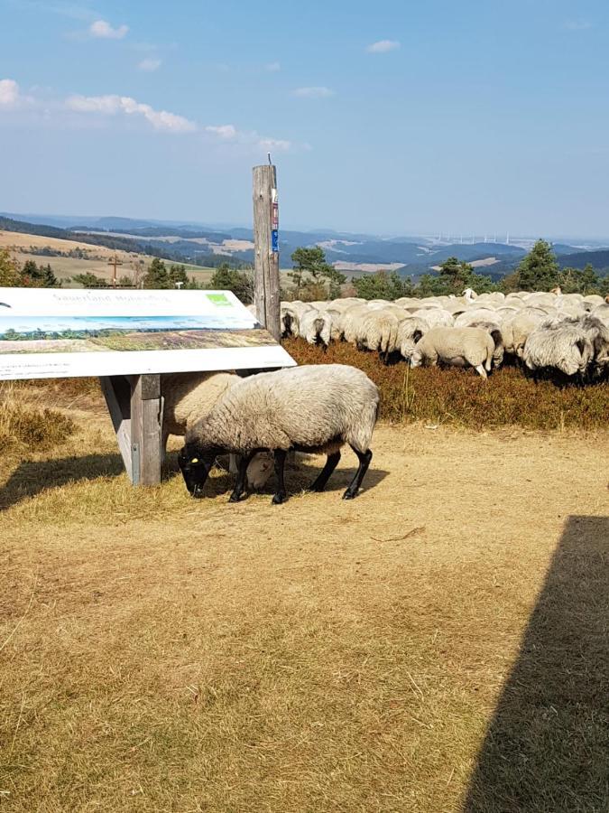 Fewos 4-Jahreszeiten Willingen  Exterior foto